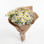 Daisy – Solmayan Papatya ve Cipsofil Buketi